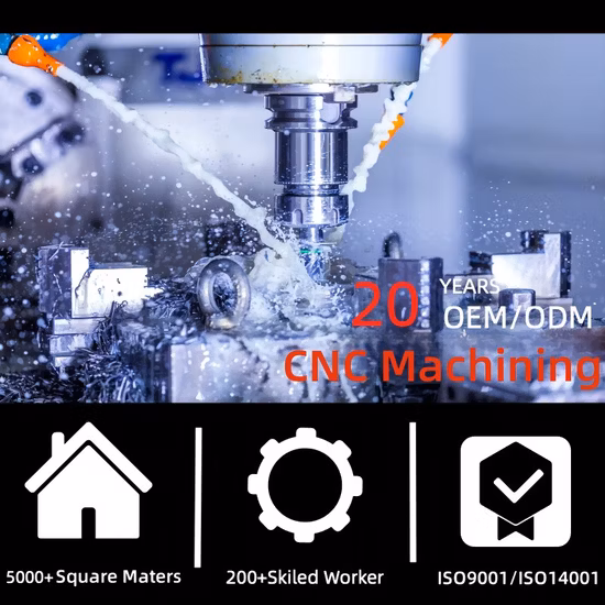 Parti in alluminio con lavorazione CNC a 5 assi Produttore di pezzi meccanici CNC